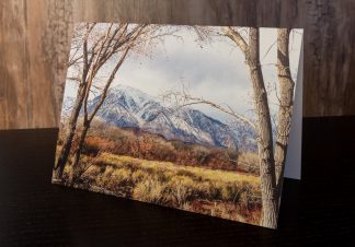 Notecard - Owens Valley Mountain View of Mt. Tom