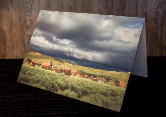 Notecard - Stormy Bodie Overview